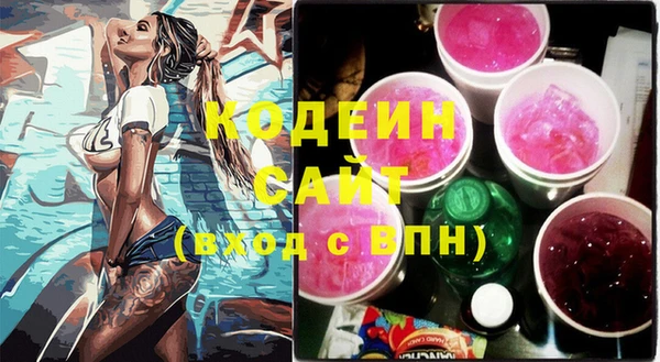 соль ск Гусев