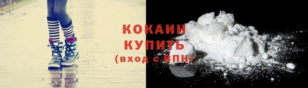 соль ск Гусев